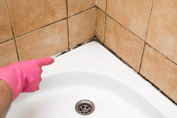 Best Crawl Space Mold Removal  in Glendora, NJ